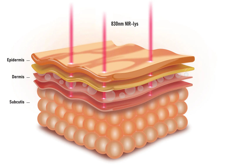 830 nm NIR-Lys | Dyp revitalisering og fastere hud